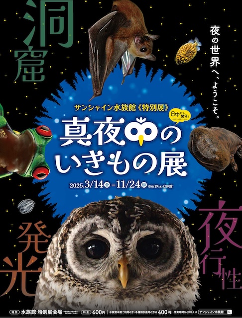 【関東】幻想的なブルーに包まれる、ロマンチックな「夜の水族館」4つ  サンシャイン水族館　真夜中のいきもの展