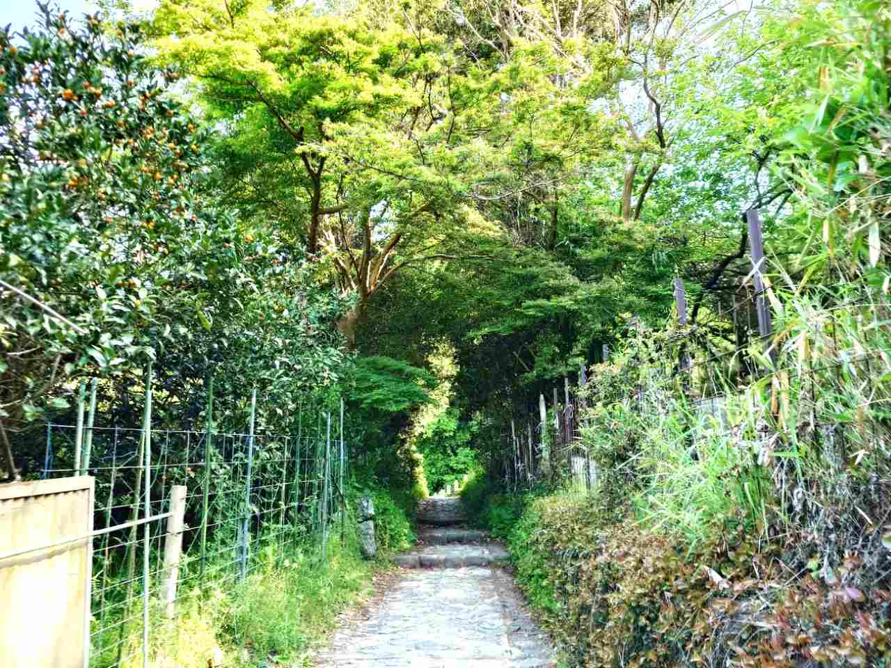 奈良県桜井市・「山の辺の道」」大神神社から檜原神社までの小径2