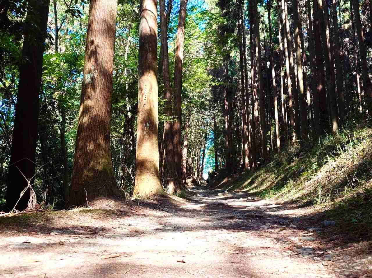 奈良県桜井市・「山の辺の道」」大神神社から檜原神社までの小径4