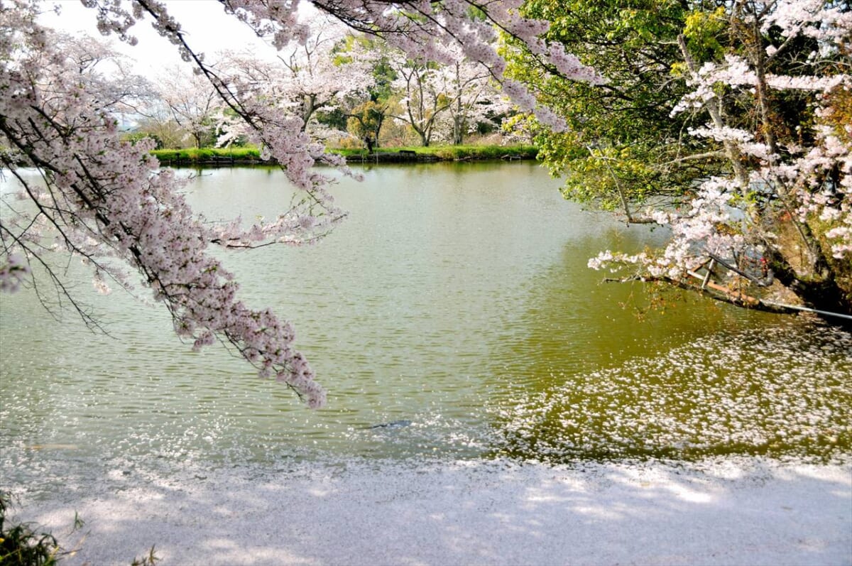内山永久寺跡