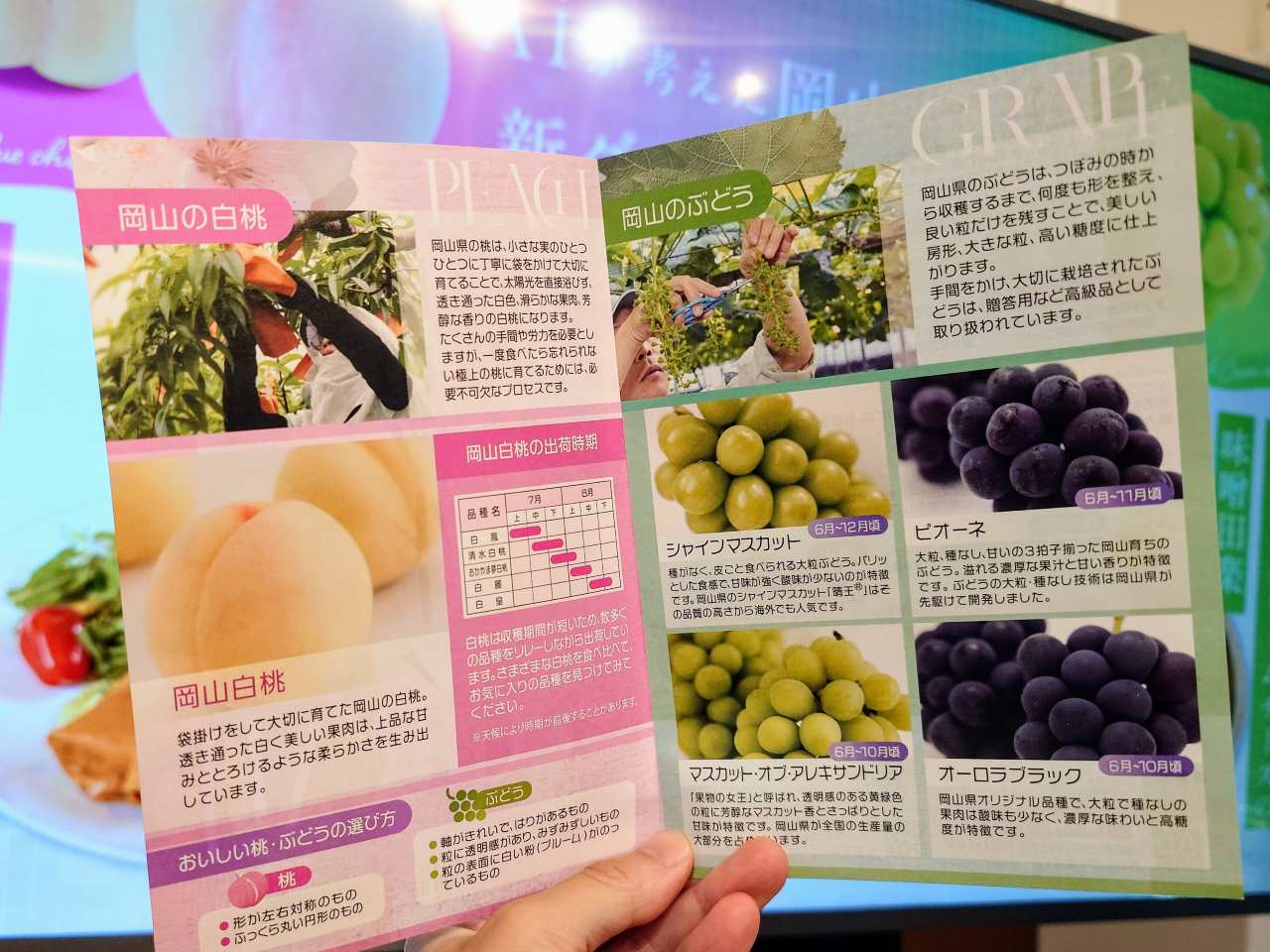 東京都港区・「とっとり・おかやま新橋館（ビストロカフェ ももてなし家）」2025年7月18日（土）～2025年7月29日（火）「AIが考えた岡山の新グルメを再現！『晴れの国おかやま・フルーツ食堂』第2弾」パンフレット