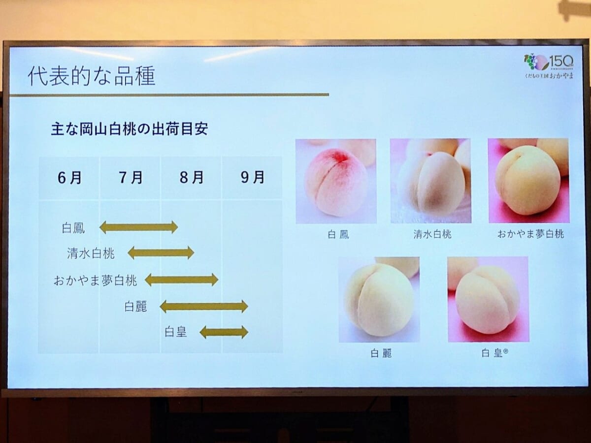 東京都港区・「とっとり・おかやま新橋館（ビストロカフェ ももてなし家）」2025年7月18日（土）～2025年7月29日（火）「AIが考えた岡山の新グルメを再現！『晴れの国おかやま・フルーツ食堂』第2弾」発表会の様子（桃について）