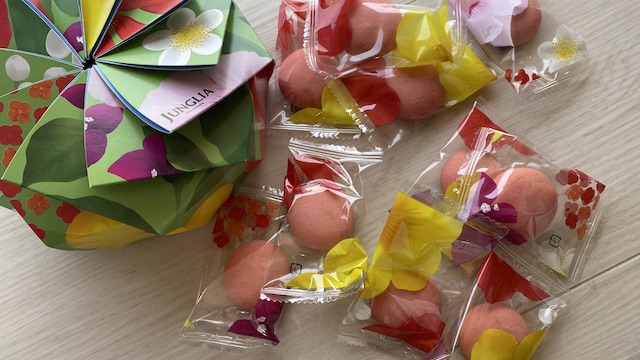 チョコインビスケット 10個 1,800円 箱　ジャングリア