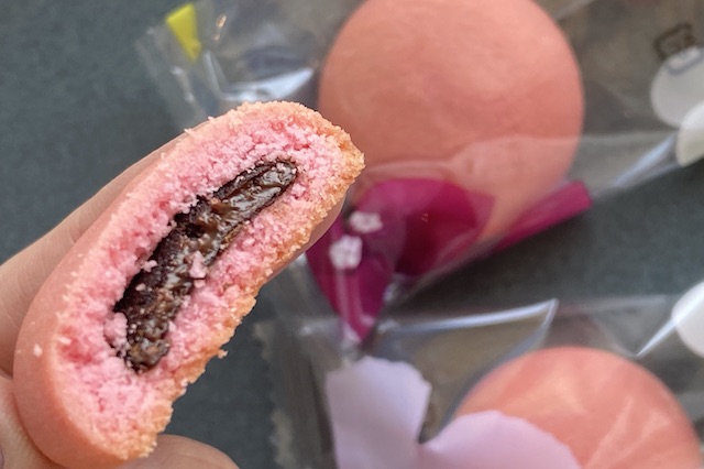 チョコインビスケット 10個 1,800円 箱　ジャングリア　実食断面