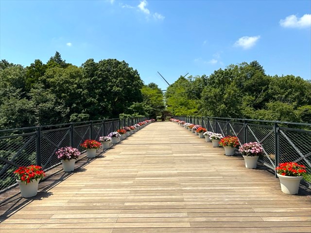 ふなばしアンデルセン公園　太陽の橋