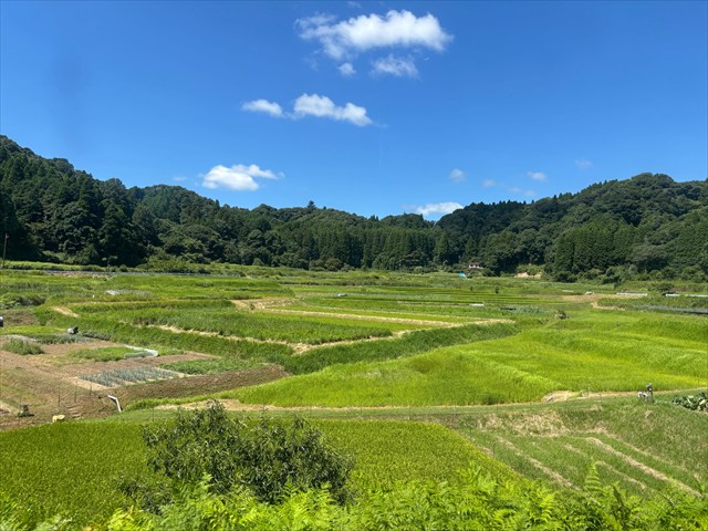 小湊鉄道　風景
