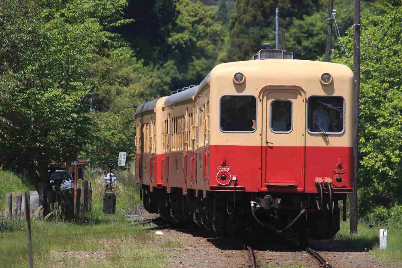 【小湊鉄道で行く癒やしの夏旅】養老渓谷の涼しい滝と自然を満喫！穴場スポットも紹介｜千葉県