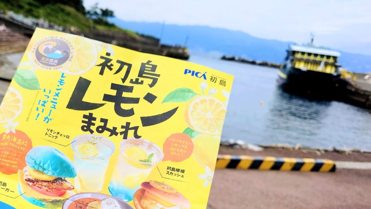 【熱海港から30分で初島へ】新高速船「金波銀波」から始まる島巡り&イルカに会えるかな？名産レモンのお土産もいっぱい