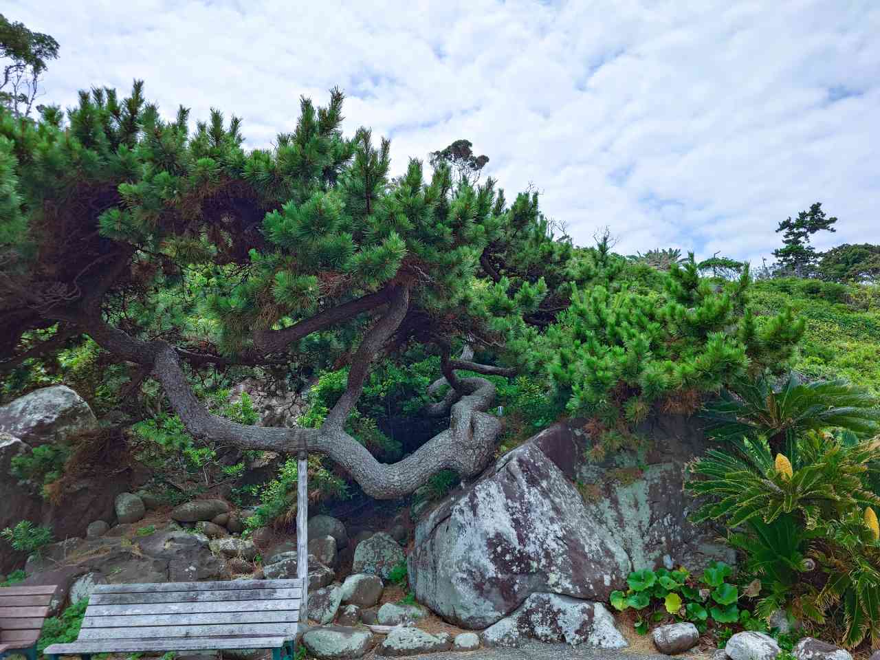 静岡県熱海市・「初島」海岸沿いの景観2