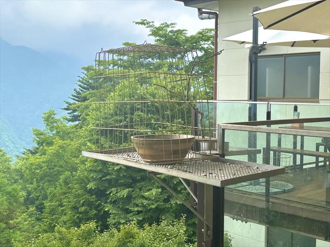 テラスにある鳥かご