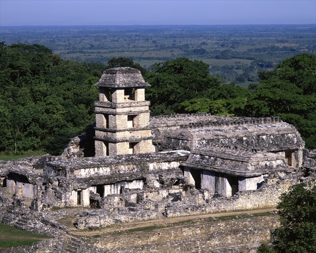 【メキシコご当地スタバマグカップを網羅！】空港で手に入る15選と観光地ガイド　パレンケ遺跡