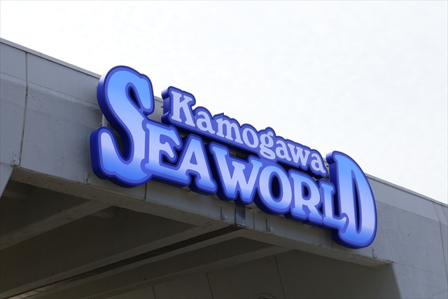 【関東】幻想的なブルーに包まれる、ロマンチックな「夜の水族館」4つ