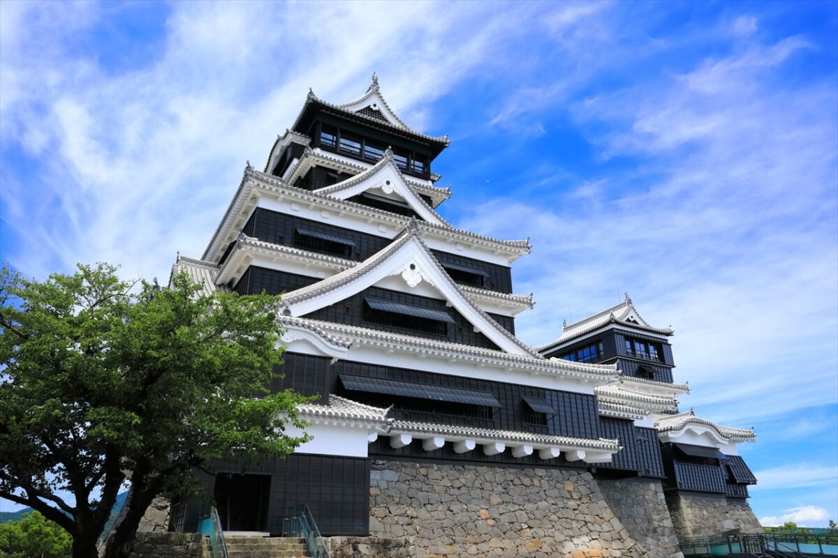 天守閣が復興した熊本城