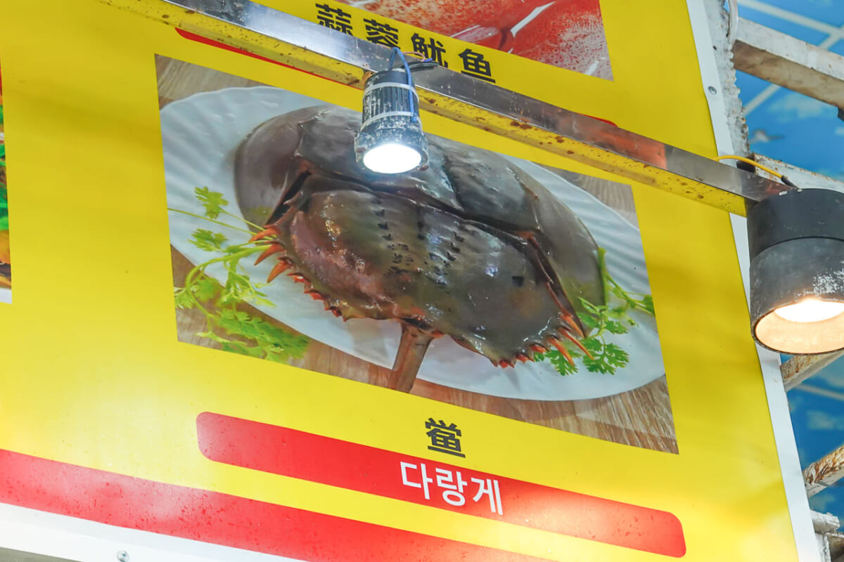 フーコック カブトガニ