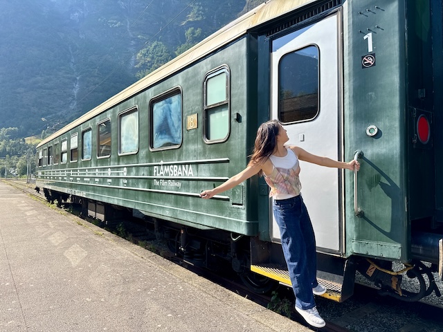 ソグネフィヨルド・イン・ア・ナットシェル ノルウェー　フィヨルド　フロム鉄道