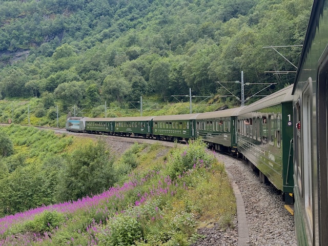 ソグネフィヨルド・イン・ア・ナットシェル ノルウェー　フィヨルド　フロム鉄道