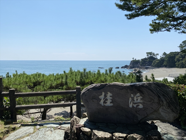 桂浜　岩