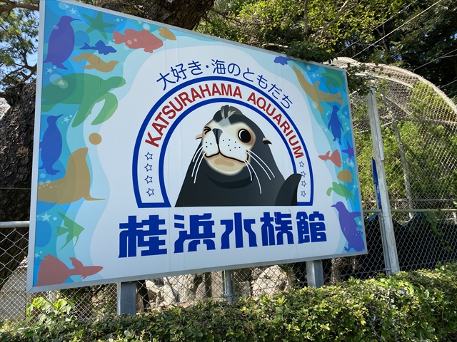 桂浜水族館