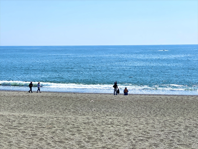 桂浜　海岸