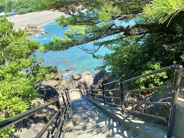 松の木の隙間から見える海