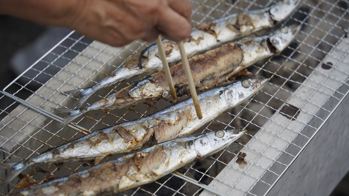 【ゆりあげ港朝市で「さんま祭り」開催】約2,000匹を用意！炭火で焼き上げるさんまを満喫