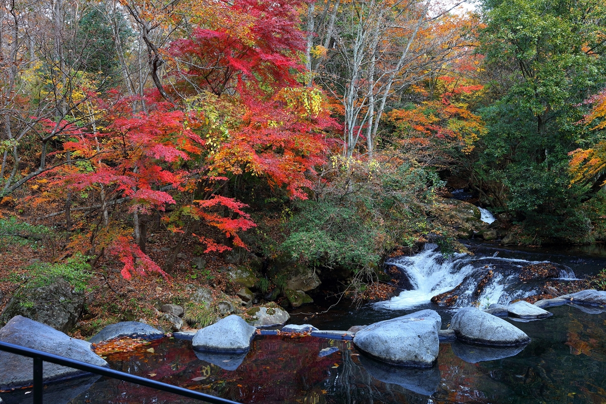 【温泉を知り尽くした賢人が偏愛する宿】絶景の紅葉温泉宿・気絶するほど感動する宿はどこ？BIGLOBEが公開