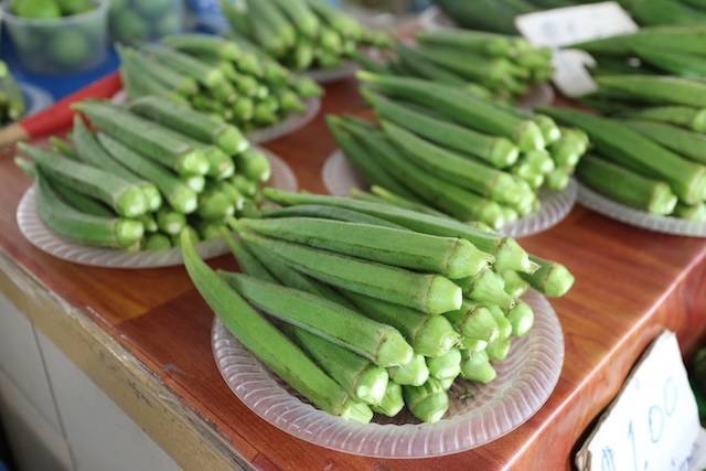 ブルネイ　観光の新定番　料理教室　Eco Ponies Garden　野菜