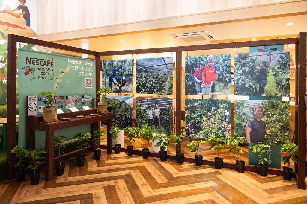 「めんそーれ原宿！沖縄コーヒーフェス」の展示