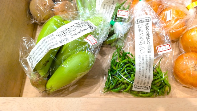【亀の井ホテル 青梅】専用ドッグランを独り占め！多摩川を望む愛犬の宿　野菜