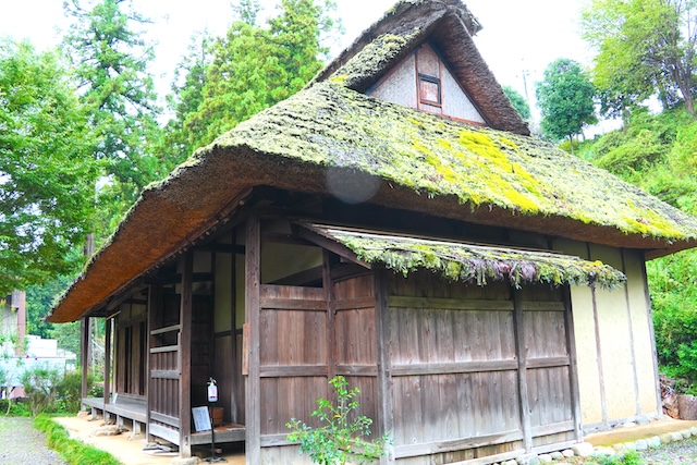 【亀の井ホテル 青梅】専用ドッグランを独り占め！多摩川を望む愛犬の宿　旧宮阿崎住宅