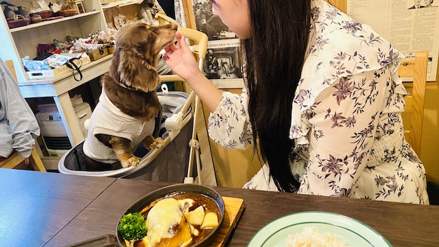 【亀の井ホテル 青梅】専用ドッグランを独り占め！多摩川を望む愛犬の宿　アイムホーム　おやつを食べる犬