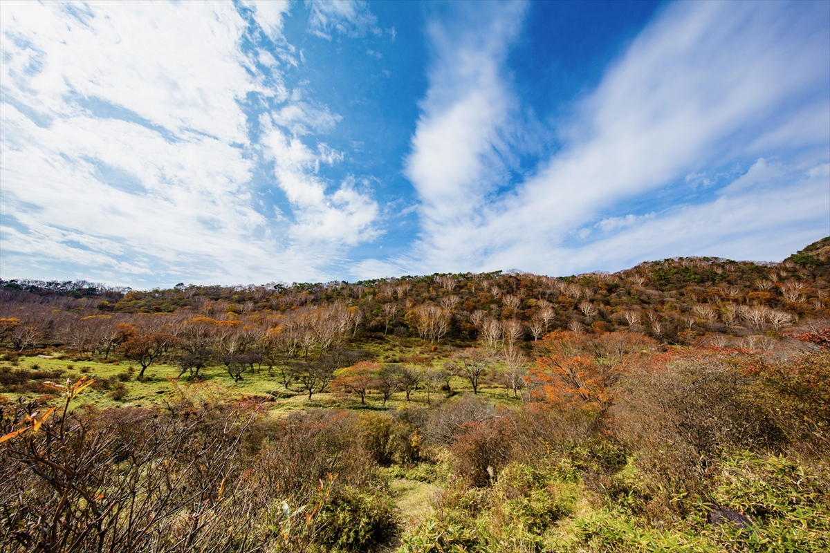 【5日間・各日20名限定】普段は入れない！群馬県 赤城白樺牧場へ秘密の絶景ツアー開催