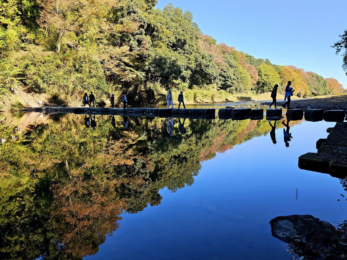 【嵐山渓谷紅葉まつり・イベントDay】ご当地グルメのキッチンカーや農作物も買える! |埼玉県