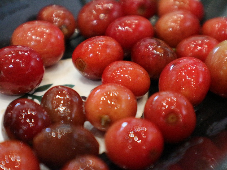 コーヒーチェリー