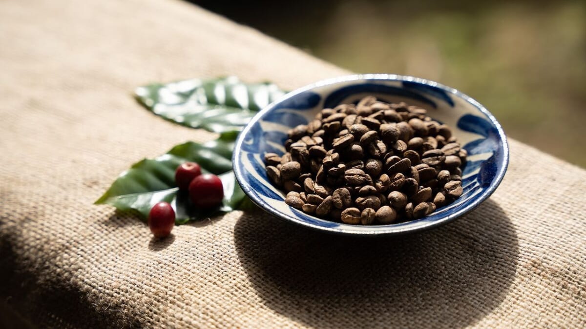 又吉コーヒー園　焙煎豆