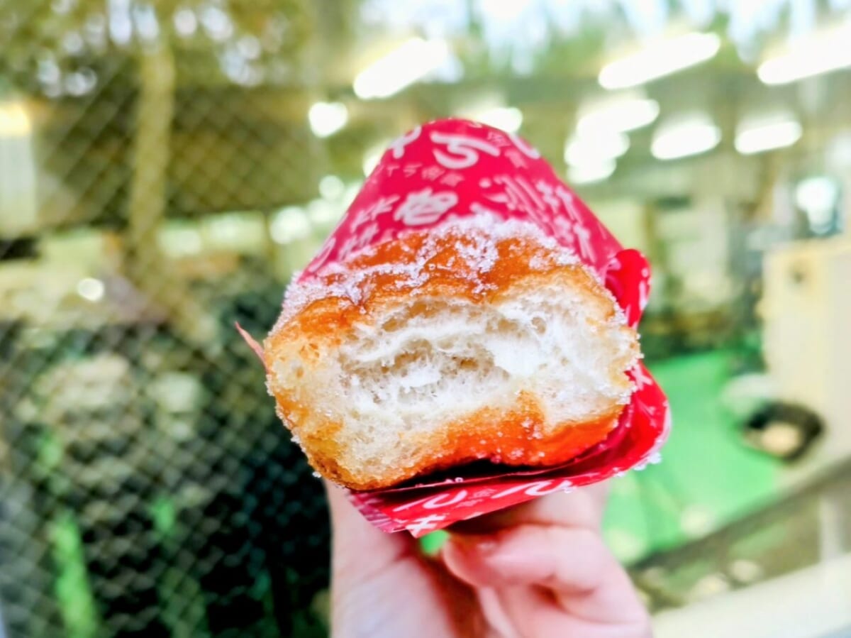 神奈川県相模原市・「オギノパン 本社工場直売店」直営店限定あげぱん2