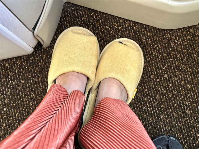ベトナム航空　ビジネスクラス　スリッパ