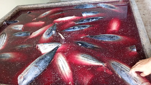 老舗 ヤマ十増田商店　鰹節1