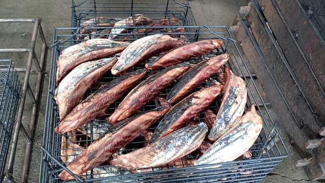 老舗 ヤマ十増田商店　鰹節2