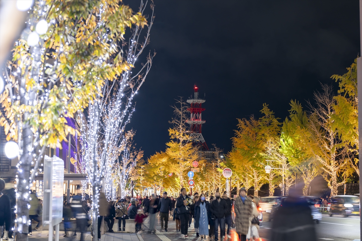 130万球のイルミと500機のドローンが夜空を彩る！「けやきライトパレード＆WAKAYAMA LIGHTS 2025」開催｜和歌山