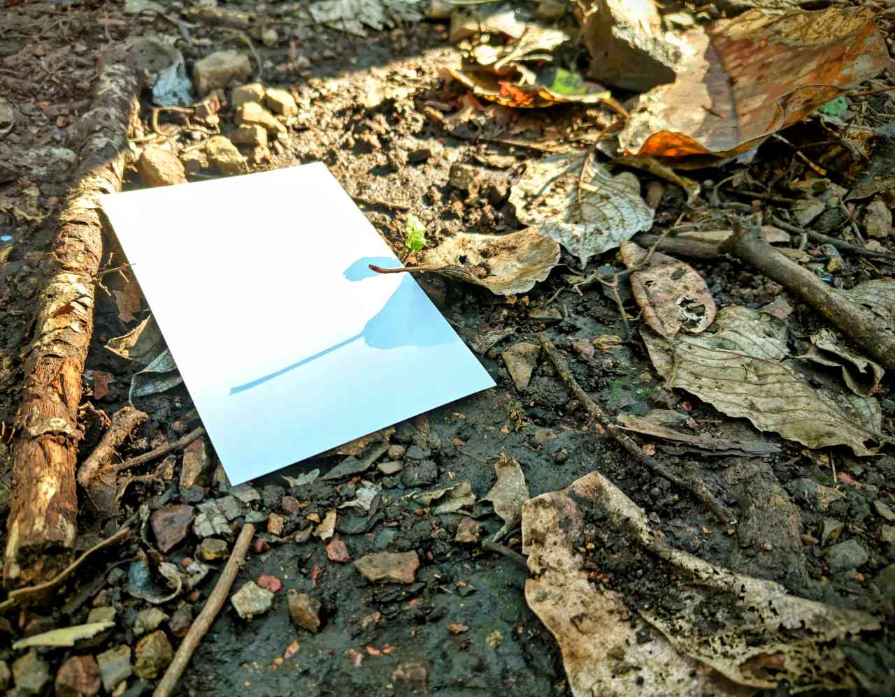 神奈川県相模原市・「つちざわの森」森林浴プログラム（木漏れ日キャッチ）3