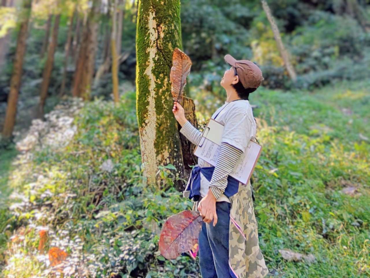 神奈川県相模原市・「つちざわの森」森林浴プログラム