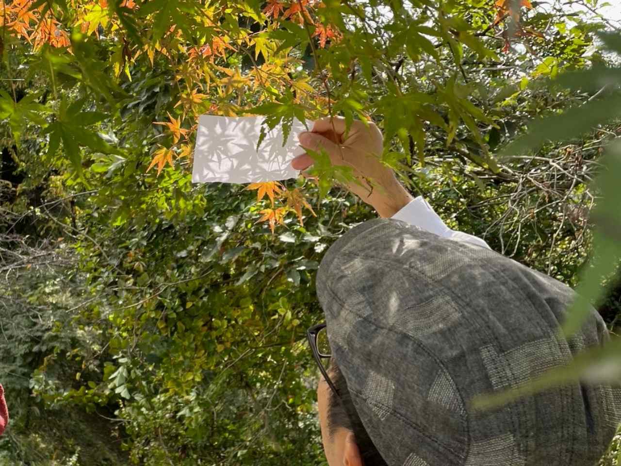 神奈川県相模原市・「つちざわの森」木漏れ日キャッチ（画像提供：合同会社ヘリテッジキーパー「つちざわの森」）