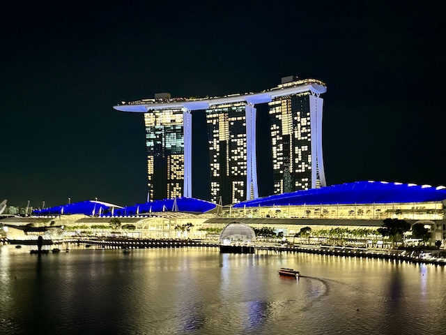 シンガポール　チャンギ空港　楽しみ方　買い物