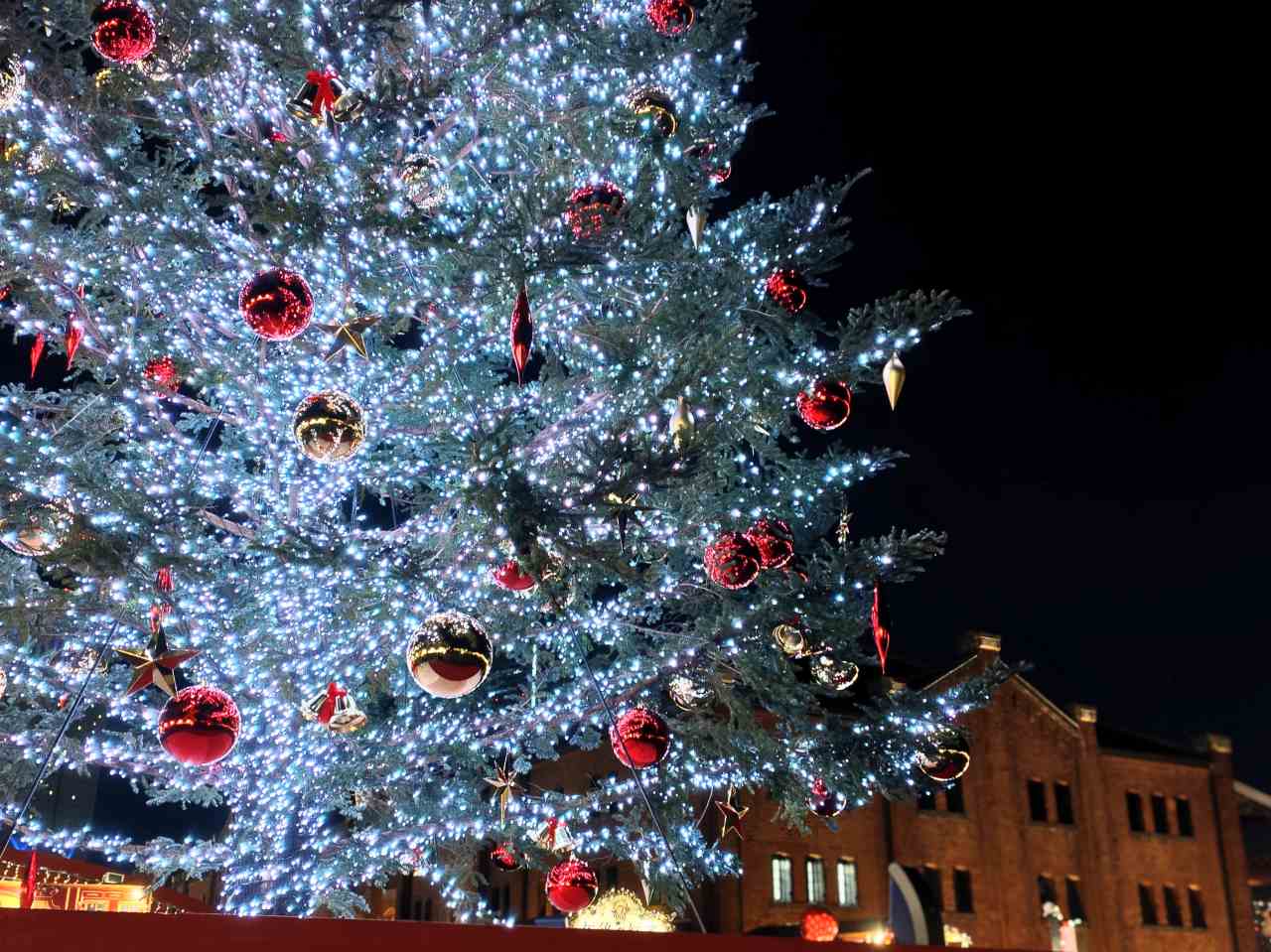 神奈川県横浜市・2025年11月21日(金)~2025年12月25日(木)「Christmas Market in 横浜赤レンガ倉庫」クリスマスツリー