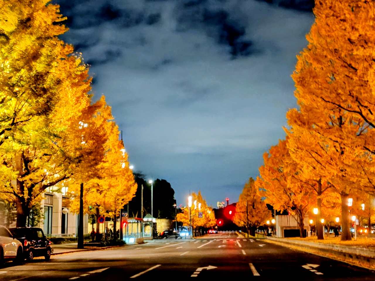 東京都千代田区・「行幸通りイルミネーション2025」行幸通り