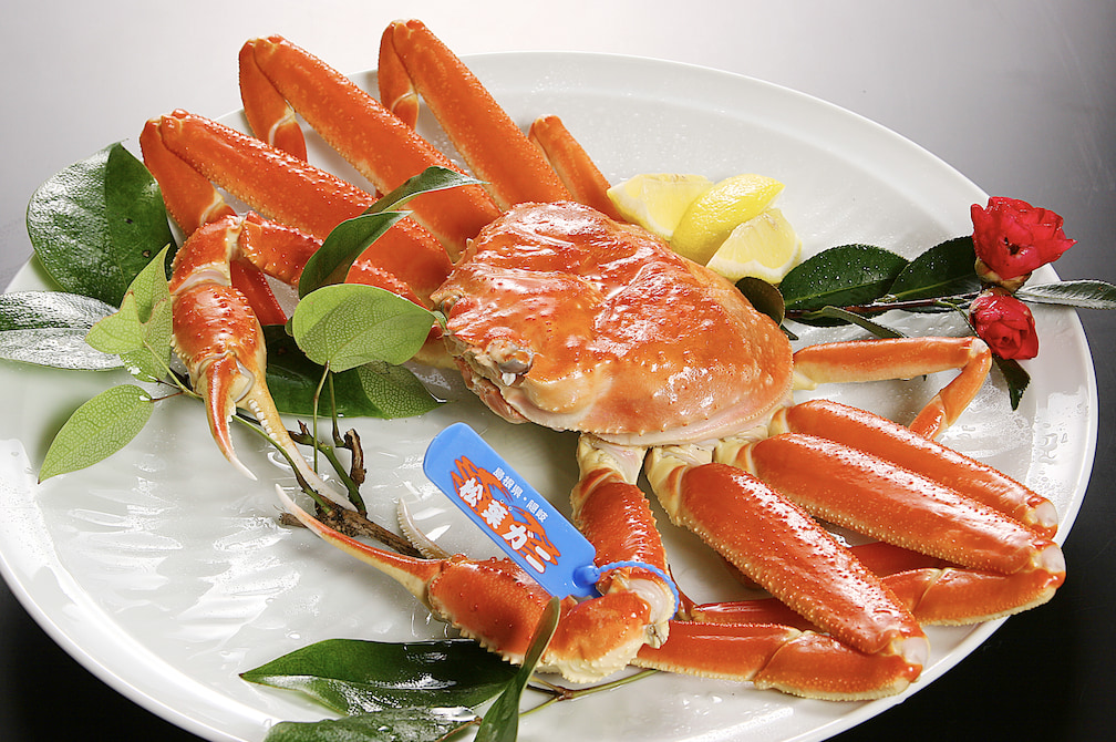 【島根県・隠岐諸島「松葉ガニ漁」解禁】鮮度と美しさが別格！その理由は伝統の篭漁にあった