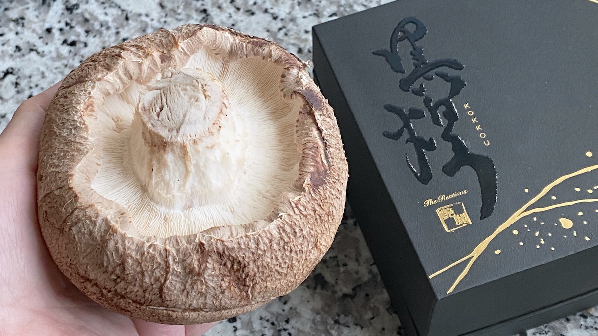 【1個5,940円！奇跡のブランド椎茸】帝国ホテルに選ばれた“まるであわび”な超肉厚キノコ・黑煌「艶麗」