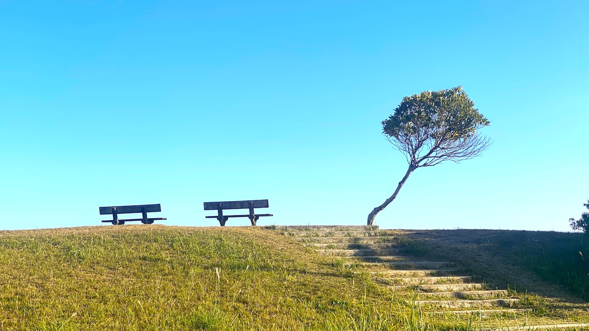 道の駅ビオスおおがた 海まで1分 海の見えるベンチ
