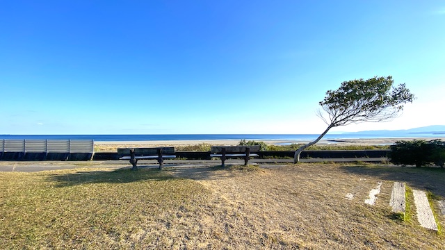 道の駅ビオスおおがた　海まで1分　海の見えるベンチ　眺め